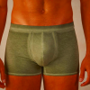 Green Intimissimi Supima Cotton Men's Underwear