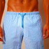 Intimissimi Stripe Print Seersucker Mens Swimwear White Light Blue