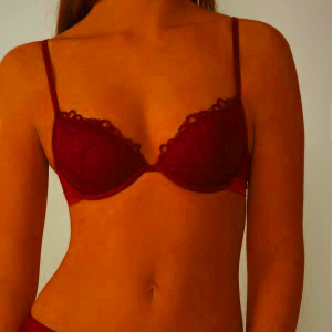Intimissimi Women's Romantic Life Bellissima Push-up Bra in Dark Red