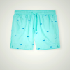 Men's Light Turquoise/Green/Dark Grey Intimissimi Embroidered Shark Swimwear