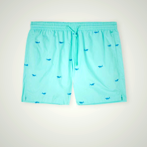 Men's Light Turquoise/Green/Dark Grey Intimissimi Embroidered Shark Swimwear